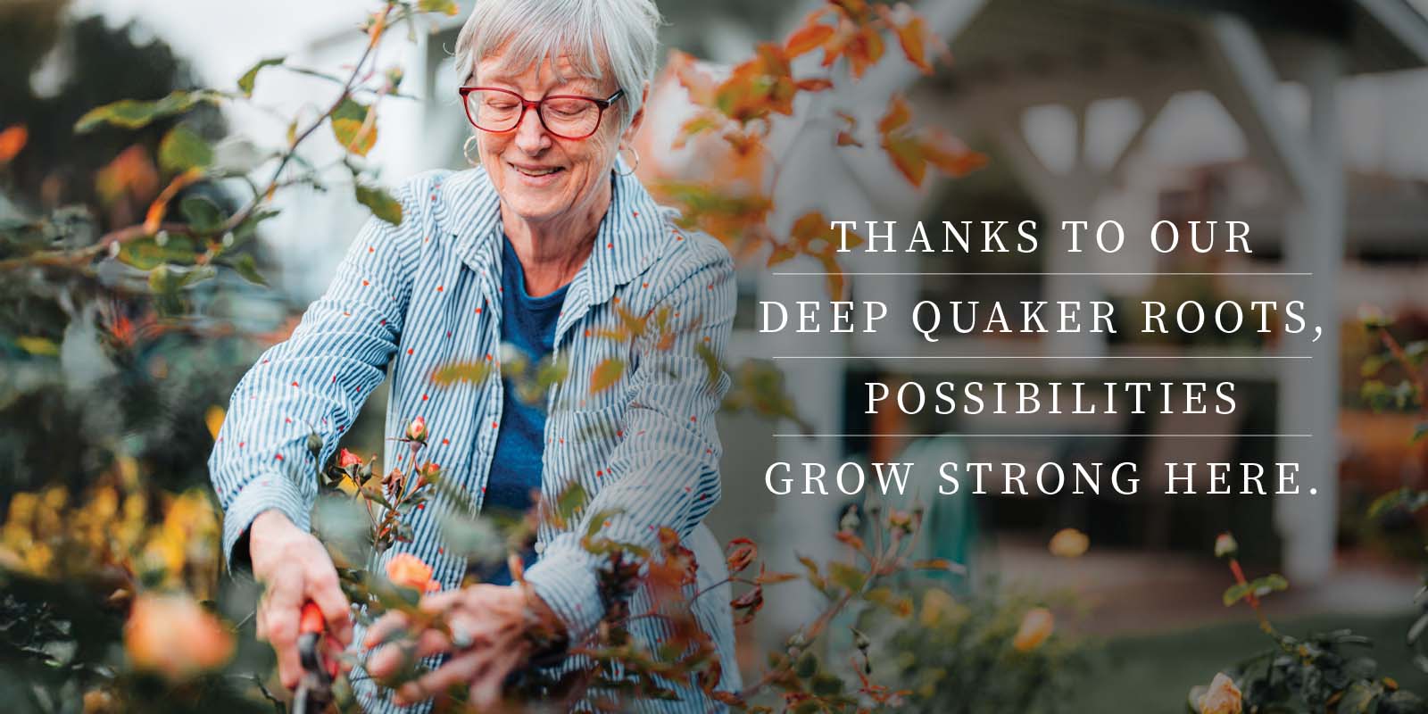 Thanks to our deep quaker roots, possibilities grow strong here.